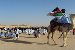 مشاركة وفد برلماني في الندوة الأوروبية ال37 لتنسيق الدعم للشعب الصحراوي