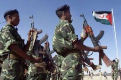 وفاة رئيس المجلس الوطني الصحراوي المحفوظ اعلي بيبا