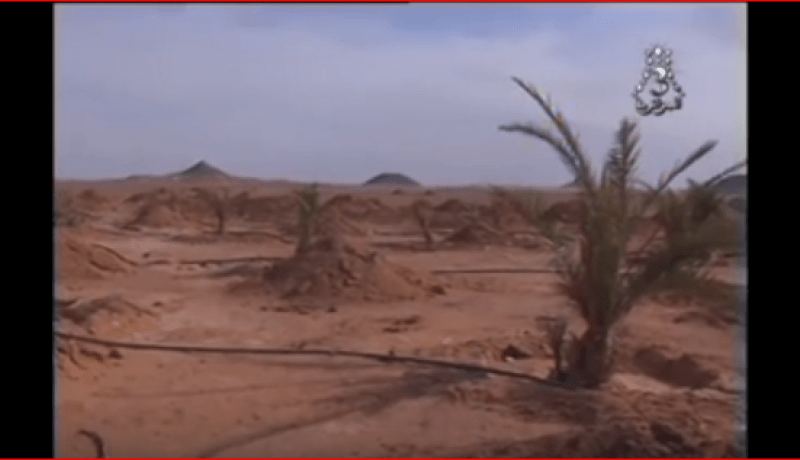 شاهد كيف حول جزائري مبدع ارض قاحلة الى جنة خضراء