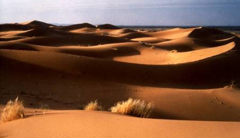 القضاء على إرهابي‮ ‬واسترجاع سلاحه في‮ ‬صحراء أدرار