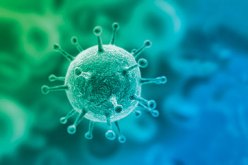 تسجيل 8 حالات للبروسيلوز البشري بولاية الطارف