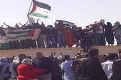 فرنسيون ينظمون تجمعا أمام جدار العار بمحبس بالصحراء الغربية