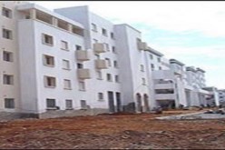 تمويل 2200 مشروع عبر جهاز القرض المصغر بسيدي بلعباس خلال 2011