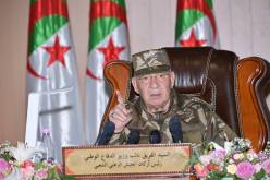 قايد صالح يدعو أفراد الجيش إلى التمسك بقيم الثورة مع اقتراب الاستحقاقات