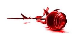 لا أستطيع التسامح لأنّ‮ ‬الإساءة تخلد في‮ ‬نفسي‮ ‬