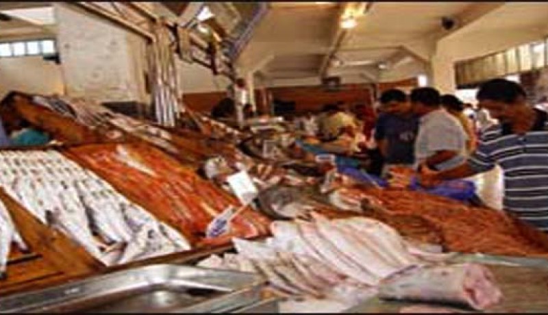 حجز 24 قنطارا من السمك غير الصالح للاستهلاك بباتنة