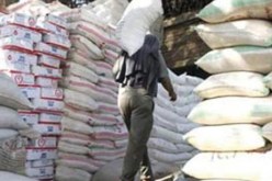 حجز 65 قنطارا من الفرينة بالمنطقة الحدودية بتيمياوين بولاية أدرار