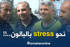 بالفيديو والصور.. وزراء وإطارات بالدولة خارج المألوف “بالسولي والسيرفات”