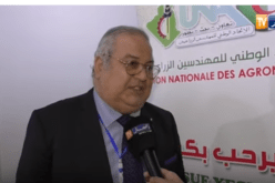 هذه شروط تصدير مواد فلاحية جديدة للخارج