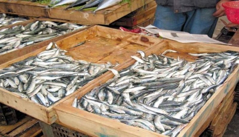 السردين باطل في سوق بودواو