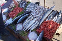 الجزائر بحاجة لـ100 ألف طن لتوفير حاجياتها من السمك