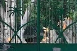 مقتل دبلوماسي سعودي في باكستان على يد مسلحين