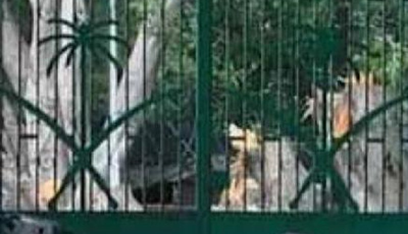 مقتل دبلوماسي سعودي في باكستان على يد مسلحين
