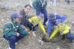 الكشافة الإسلامية الجزائرية تنظم حملة تشجير بالقرية الإفريقية بسيدي فرج