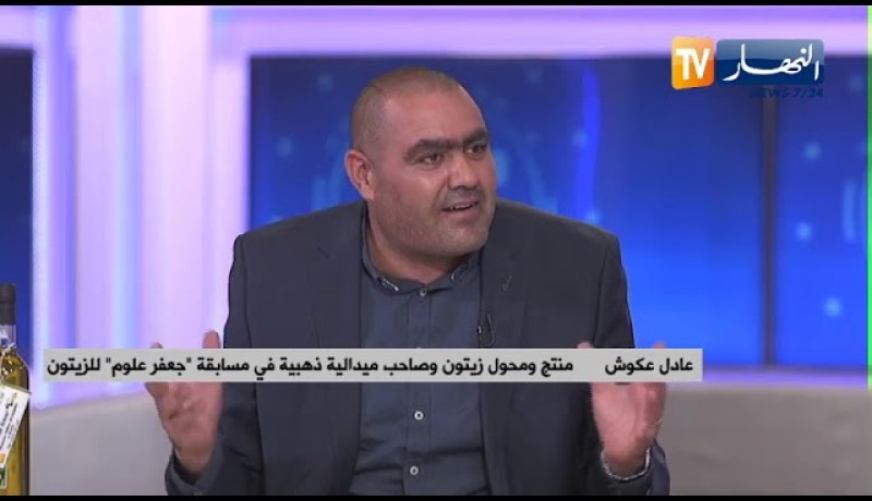 دعوات لتطوير شعبة زيت الزيتون والتوجه نحو التصدير