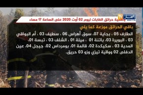 وضعية حرائق الغابات ليوم 2 أوت 2020 على الساعة 17 مساء