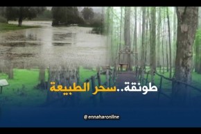 الطارف: محمية طونقة..سحر الطبيعة في إبداع الخالق