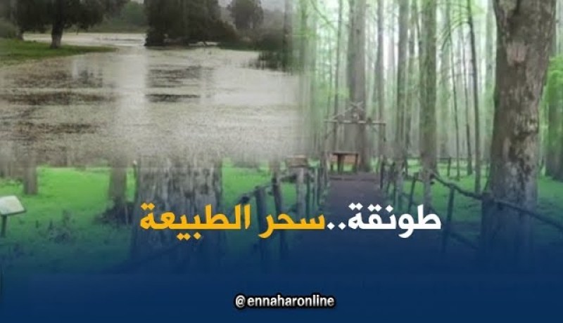 الطارف: محمية طونقة..سحر الطبيعة في إبداع الخالق