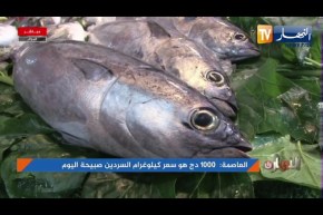 العاصمة: السردين يرتفع إلى 1000دج للكيلوغرام