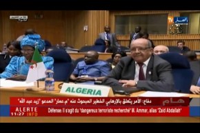 القمة الـ30 للإتحاد الإفريقي:السلم، التنمية والإصلاحات المؤسساتية في جدول الأعمال
