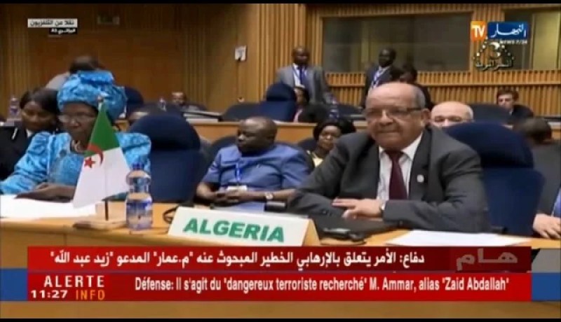 القمة الـ30 للإتحاد الإفريقي:السلم، التنمية والإصلاحات المؤسساتية في جدول الأعمال