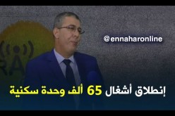 مدير عدل: خلال شهر أفريل ستنطلق في أشغال 65 ألف وحدة سكنية من برنامج 2018