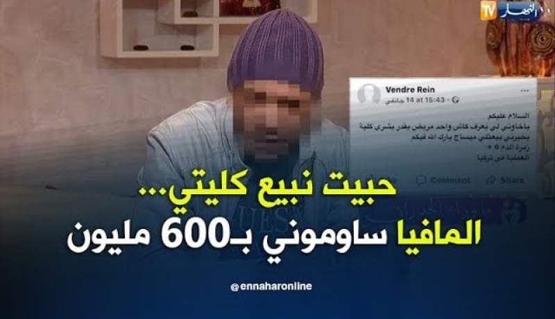 ما وراء الجدران: سيدعلي..  حبيت نبيع الكلية ديالي والمافيا ساوموني بـ 600 مليون
