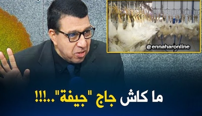 مدير المصالح البيطرية بوزارة الصحة : لحد الآن المذابح الجزائرية ما زال تذبح باليد