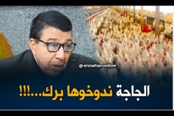 مدير المصالح البيطرية بوزارة الصحة : طريقة صرع الدجاج “تجيب” إنتاج وفير