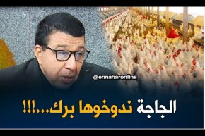 مدير المصالح البيطرية بوزارة الصحة : طريقة صرع الدجاج “تجيب” إنتاج وفير