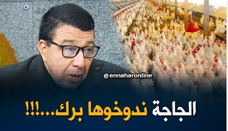 مدير المصالح البيطرية بوزارة الصحة : طريقة صرع الدجاج “تجيب” إنتاج وفير