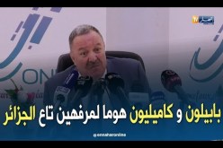 سامي بن شيخ: بابيلون و كاميليون من أغنى الفرق الغنائية في الجزائر