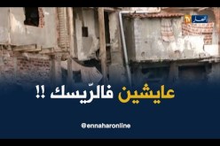 قاطني الصخور على جانب البحر ..خطر وترقّب !!