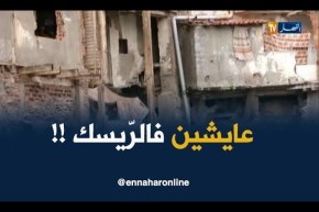 قاطني الصخور على جانب البحر ..خطر وترقّب !!