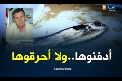 اللجنة الوطنية للصيد البحري/ “سمكة الأرنب أصلها من مصر وهي قاتلة..يجب حرقها أو دفنها”