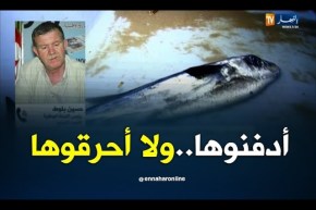 اللجنة الوطنية للصيد البحري/ “سمكة الأرنب أصلها من مصر وهي قاتلة..يجب حرقها أو دفنها”