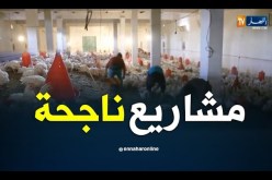 عين صالح/ تربية الدواجن…مشاريع ناجحة تستوجب المرافقة