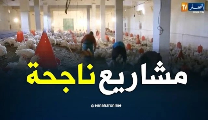 عين صالح/ تربية الدواجن…مشاريع ناجحة تستوجب المرافقة