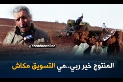 تلمسان: البقوليات..زراعة رائدة رغم غياب التسويق