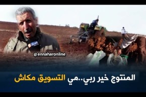 تلمسان: البقوليات..زراعة رائدة رغم غياب التسويق