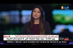 مصر: هيئة الإنتخابات تعلن فوز عبد الفتاح السيسي رسميا بعهدة رئاسية ثانية