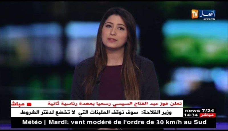 مصر: هيئة الإنتخابات تعلن فوز عبد الفتاح السيسي رسميا بعهدة رئاسية ثانية