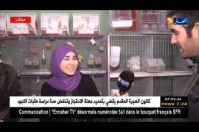 مباشر من محل لبيع العصافير/ تربية الكناري والمقنين سهلة جدا..