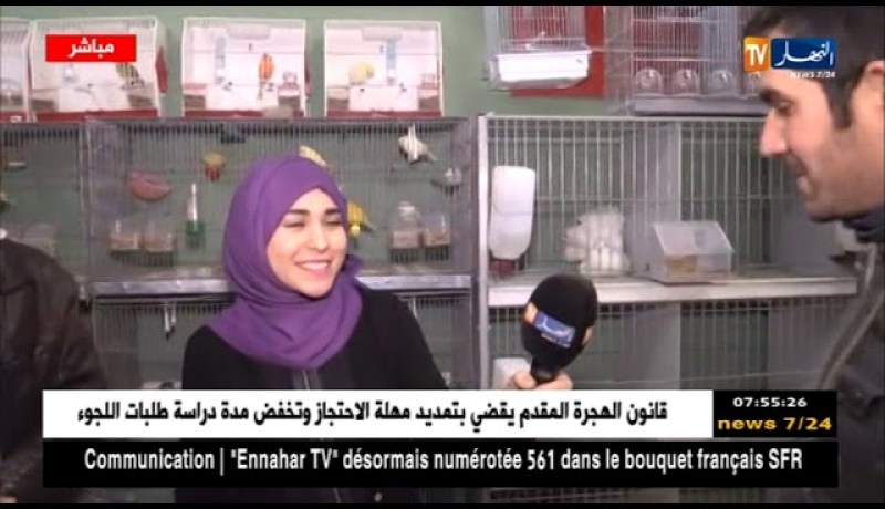 مباشر من محل لبيع العصافير/ تربية الكناري والمقنين سهلة جدا..