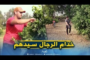 جزائريون/ جامعيون يمتهنون الفلاحة صيفا..”لازملنا مصروف الجيب”