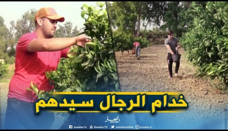جزائريون/ جامعيون يمتهنون الفلاحة صيفا..”لازملنا مصروف الجيب”