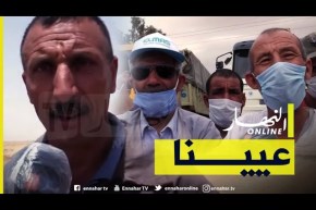 صريح جدا: الوادي.. مشاكل بالجملة تعيق نشاط الفلاحين !