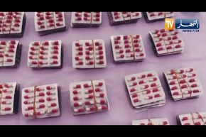 ورقلة: عناصر B R I تحجز ازيد من 5800 كبسولة من الحـ بوب المـ هلـ وسة