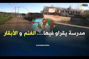 الشيخ النوي: مدرسة سمحو فيها بسعيدة.. رجعوها “كوري” تاع الغنم