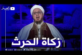 فاسألوا: كيف يكون نصاب الزيتون وكيف يتم اخراجه؟